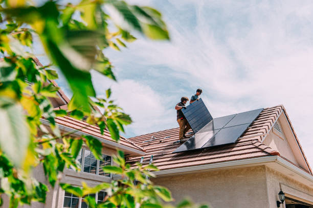 Best Roof Gutter Cleaning  in Roaming Shores, OH