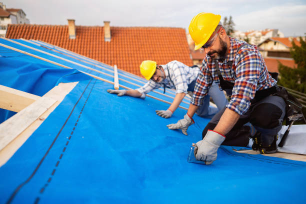 Best Roof Repair Services  in Roaming Shores, OH